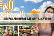 投资两三万创业做什么比较好（23万投资）