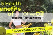 赚钱软件（赚钱软件游戏）