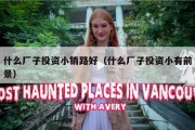 什么厂子投资小销路好（什么厂子投资小有前景）