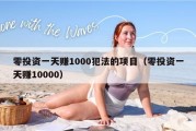 零投资一天赚1000犯法的项目（零投资一天赚10000）