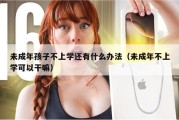 未成年孩子不上学还有什么办法（未成年不上学可以干嘛）