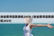 创业新项目新商机2019（创业新项目新商机2019）