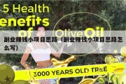 副业赚钱小项目思路（副业赚钱小项目思路怎么写）