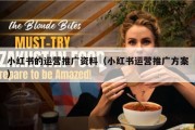 小红书的运营推广资料（小红书运营推广方案）