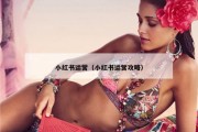 小红书运营（小红书运营攻略）