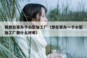 我想在家办个小型加工厂（想在家办一个小型加工厂做什么好呢）