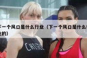 下一个风口是什么行业（下一个风口是什么行业的）