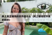 网上真正赚钱的软件是什么（网上赚钱软件真的假的）