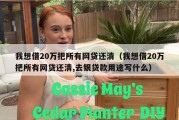 我想借20万把所有网贷还清（我想借20万把所有网贷还清,去银贷款用途写什么）