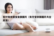 支付宝余额宝金额图片（支付宝余额图片大全高清）