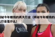 揭秘今年赚钱的两大行业（揭秘今年赚钱的两大行业是什么）