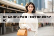 有什么暴利的灰色项目（有哪些暴利的灰色产业）