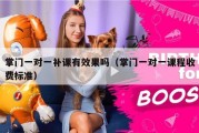 掌门一对一补课有效果吗（掌门一对一课程收费标准）