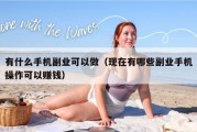 有什么手机副业可以做（现在有哪些副业手机操作可以赚钱）