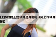 网上挣钱的正规软件是真的吗（网上挣钱真的假的）
