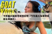 今年最火加盟项目排名榜（今年最火加盟项目排名榜图片）