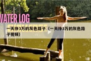 一天挣3万的灰色路子（一天挣3万的灰色路子视频）