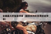 全国最火的加盟项目（国家扶持的免费创业项目）