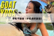 手机干副业（手机做的副业）