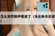 马云怎么突然销声匿迹了（马云身价总资产多少亿）