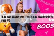 小红书最美动态壁纸下载（小红书动态壁纸我的世界）