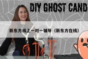 新东方线上一对一辅导（新东方在线）