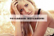 今年什么加盟店好做（现在什么加盟店好做）