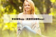 赏金赚钱app（高额赏金赚钱app）