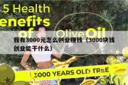 我有3000元怎么创业赚钱（3000块钱创业能干什么）