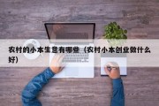 农村的小本生意有哪些（农村小本创业做什么好）