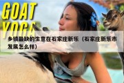 乡镇最缺的生意在石家庄新乐（石家庄新乐市发展怎么样）