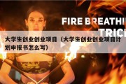 大学生创业创业项目（大学生创业创业项目计划申报书怎么写）