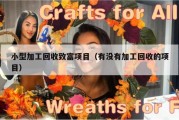小型加工回收致富项目（有没有加工回收的项目）