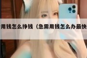 急需用钱怎么挣钱（急需用钱怎么办最快最有效）