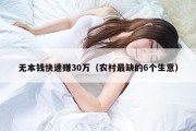 无本钱快速赚30万（农村最缺的6个生意）