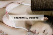 扫作业的软件叫什么（作业扫描神器）