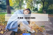 代发网（泉州代发网）