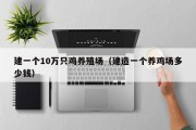 建一个10万只鸡养殖场（建造一个养鸡场多少钱）
