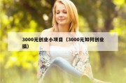 3000元创业小项目（3000元如何创业搞）