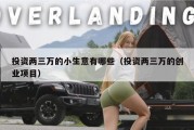 投资两三万的小生意有哪些（投资两三万的创业项目）