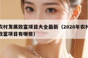 农村发展致富项目大全最新（2020年农村致富项目有哪些）