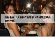 农村未来10大暴利行业辈子（农村不起眼的暴利行业）