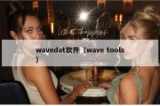 wavedat软件（wave tools）