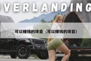 可以赚钱的项目（可以赚钱的项目）