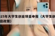 2025年大学生创业项目申报（大学生创业项目政策）