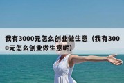 我有3000元怎么创业做生意（我有3000元怎么创业做生意呢）