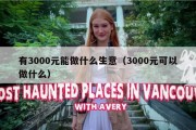 有3000元能做什么生意（3000元可以做什么）