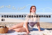 冰雪蜜城店加盟费多少（适合小县城开的加盟店）