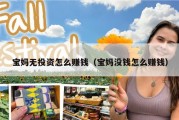 宝妈无投资怎么赚钱（宝妈没钱怎么赚钱）