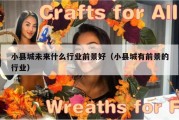 小县城未来什么行业前景好（小县城有前景的行业）